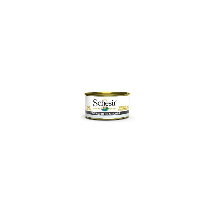 SCHESIR CAT TON SEA BASS 85G