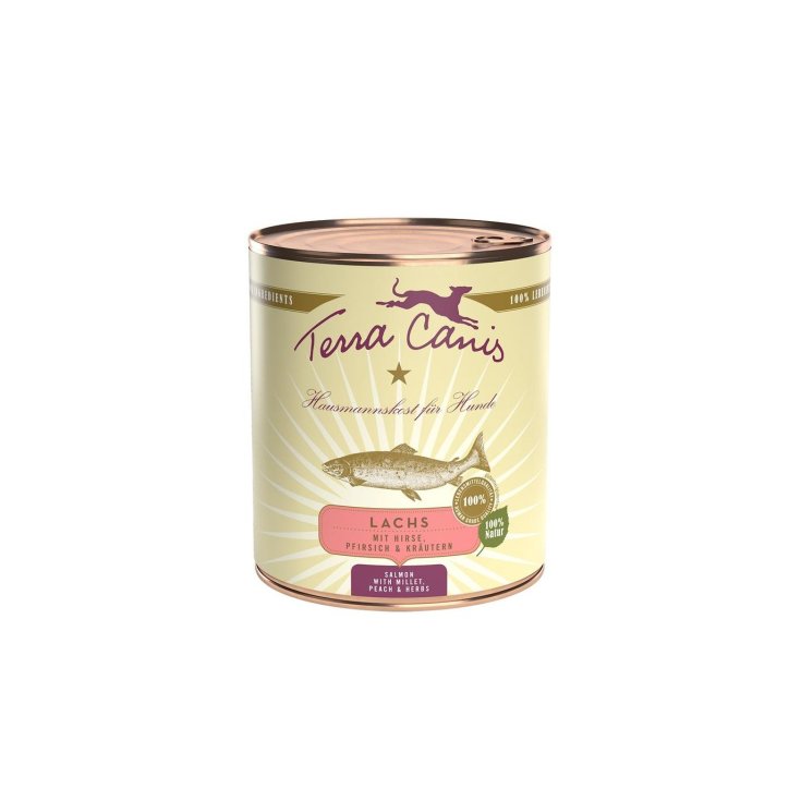 TERRA CANIS CLASSIC SALMON 800G