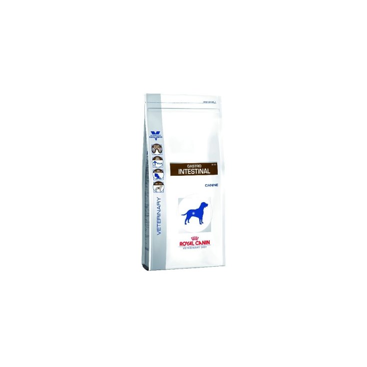 Royal Canin Veterinary Gastro Intestinal Dry Diet Food 2kg