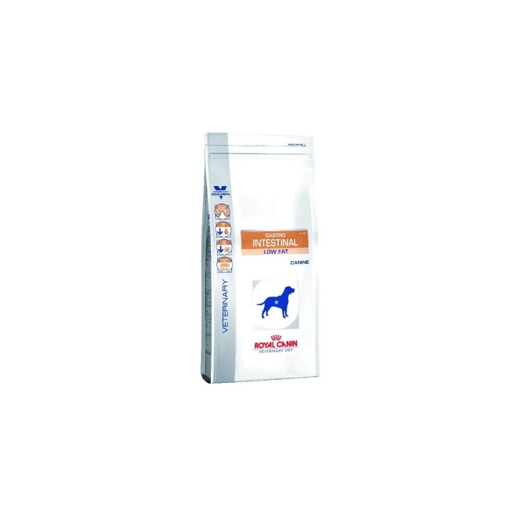 VETERINARY DC DRY GASTR LOW 12