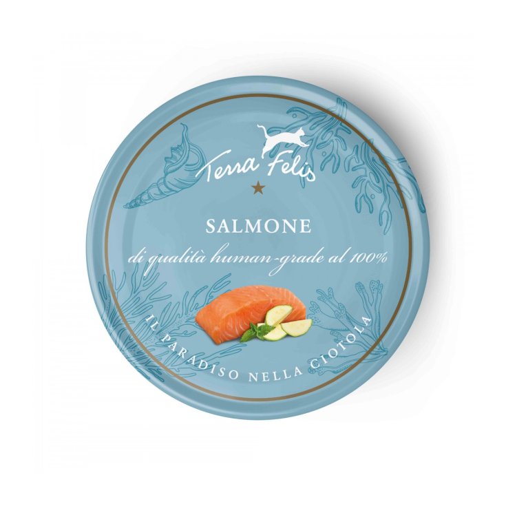 TERRA FELIS SALMON 80G