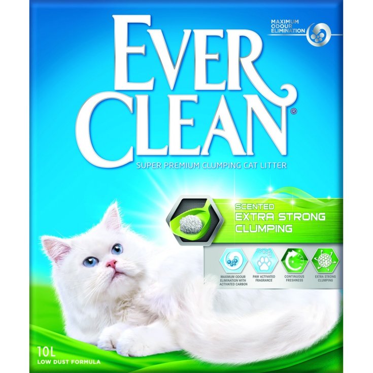 EVERCLEAN EXTRA STRONG SCE 10L