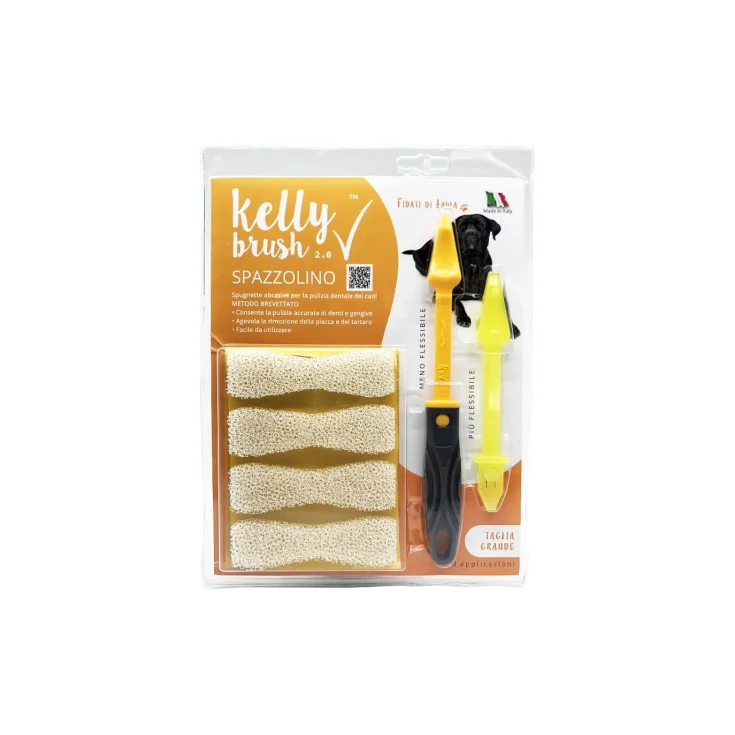 KIT 2,0 TOOTHBRUSH 8PCS L MIXED
