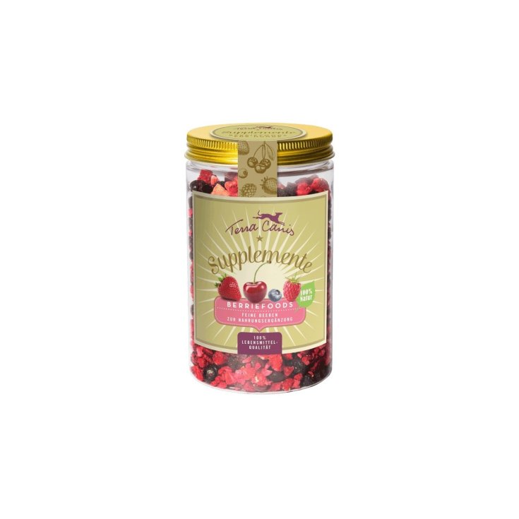 TERRA CANIS BERRIEFOOD 50G