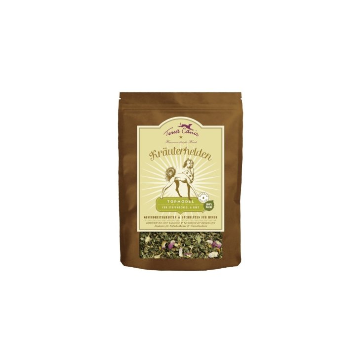 TERRA CANIS HERBAL METABOLISM 100G