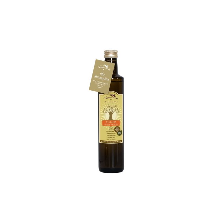 TERRA CANIS GOLD VEIN OIL 250ML