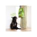E&C DOG ADULT D LAMB 2,5KG