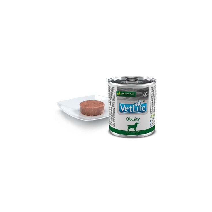 VET LIFE NAT DIET DOG OBES300G