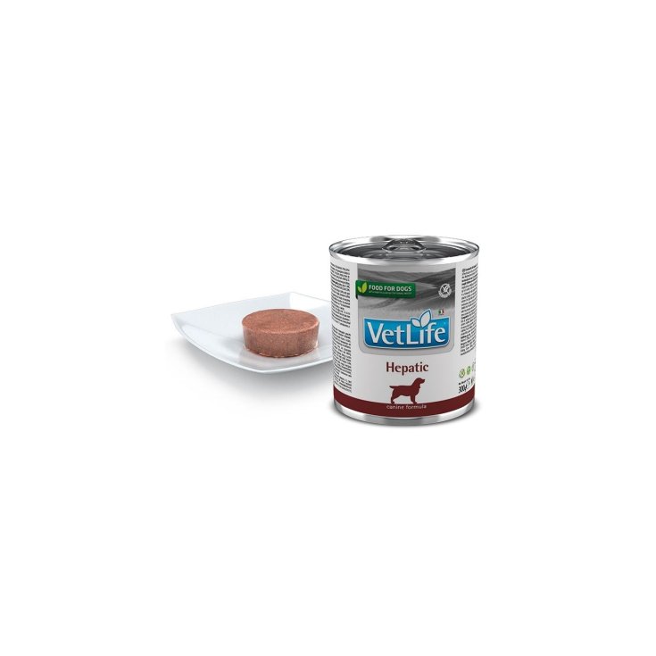 VET LIFE NAT DIET DOG HEPA300G