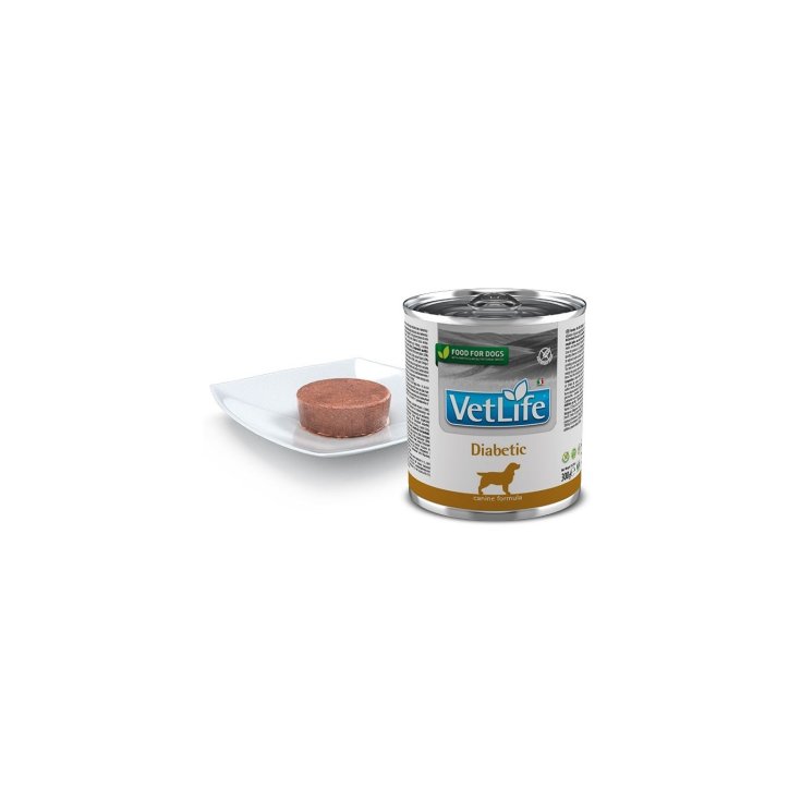 VET LIFE NAT DIET DOG DIAB300G