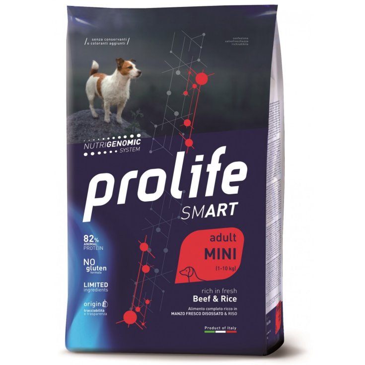 PROLIFE DOG SMART AD BEEF 2KG