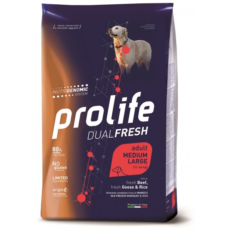 PROLIFE DOG DUAL AD BEEF 12KG