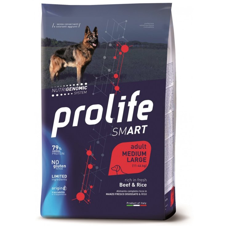 PROLIFE DOG SMART AD BEEF 12KG