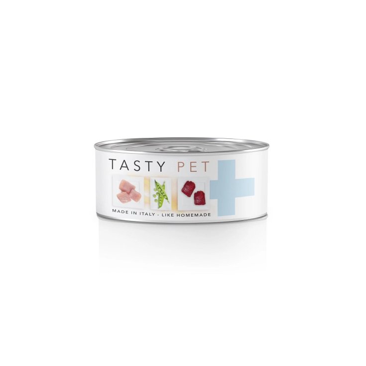 TASTY PET CAT FILLETS NUTRITIVE NATURAL