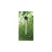 BLUE 6811 GLASS THERMOMETER