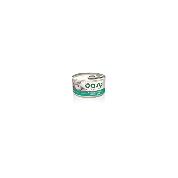 OASY WET CAT MOUSSE WITH RABBIT