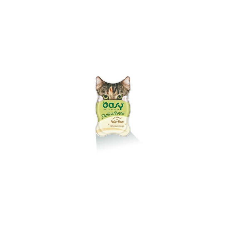 OASY WET CAT SOUFF POL/EGG