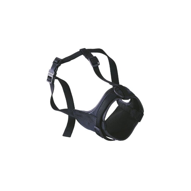 SAFE BOXER BLACK MUZZLE