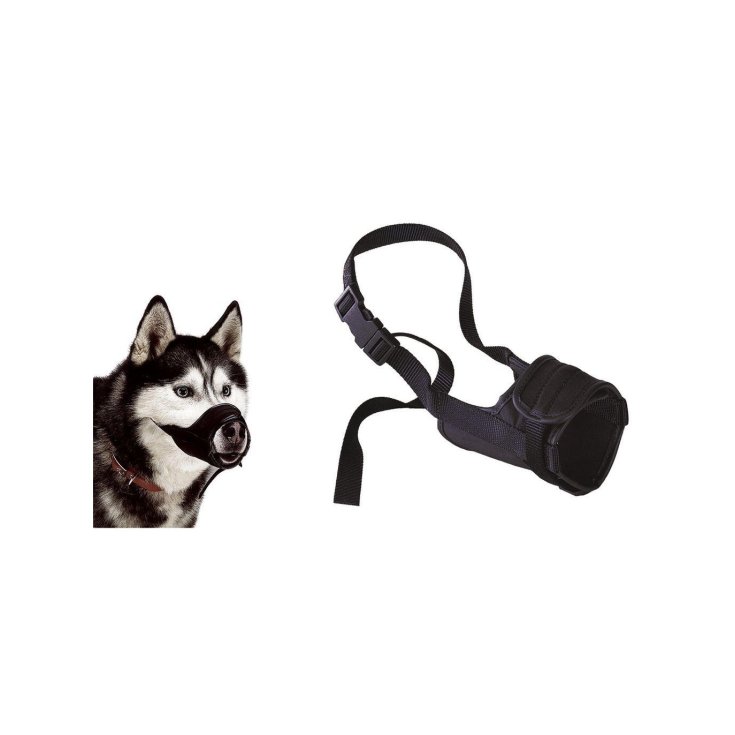 SAFE MEDIUM BLACK MUZZLE