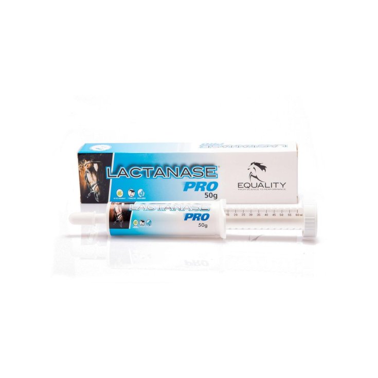 Lactanase Pro Oral Paste Syringe for Athlete Horse 50g