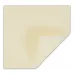 Exufiber Ag + 10X10cm Molnlycke® 10 Pieces