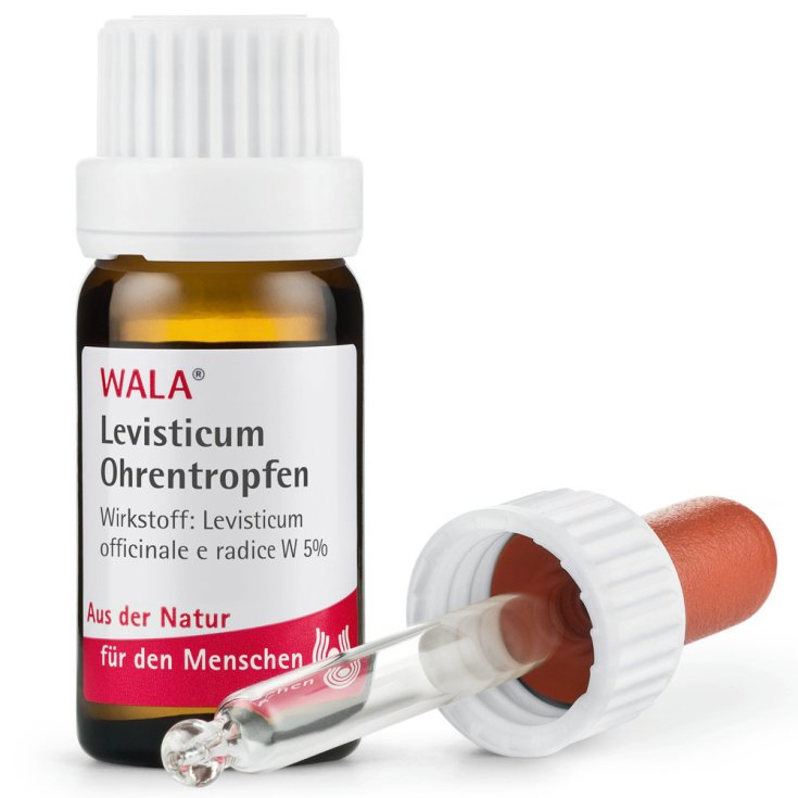 Levisticum Ear Drops 10ml