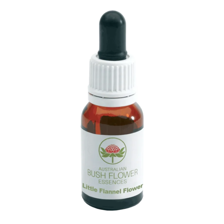 Australian Flowers Little Flannel Flower Drops 15ml