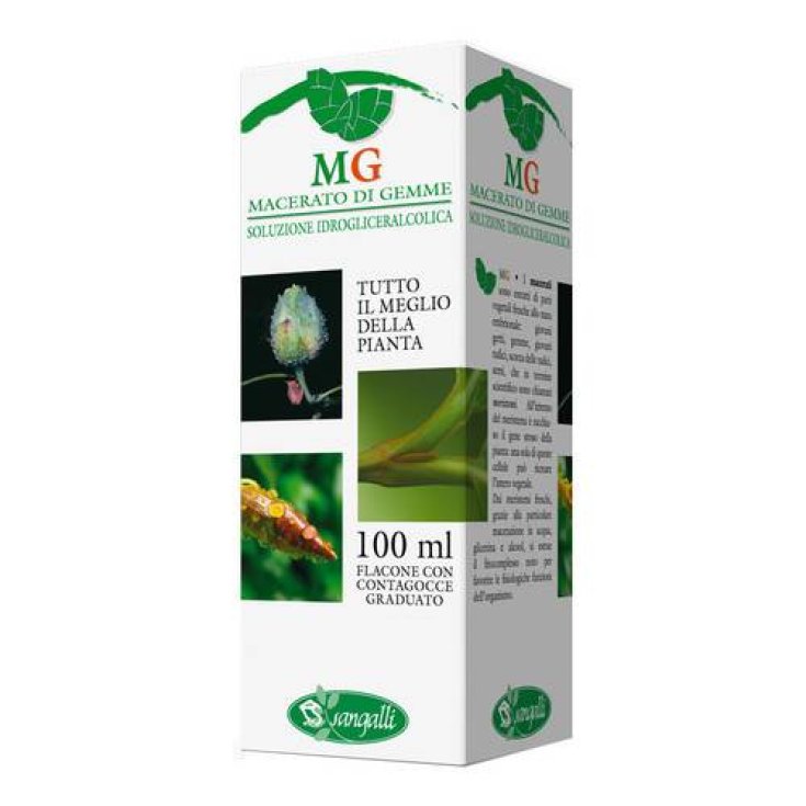 Sangalli Walnut Bud extract 100ml