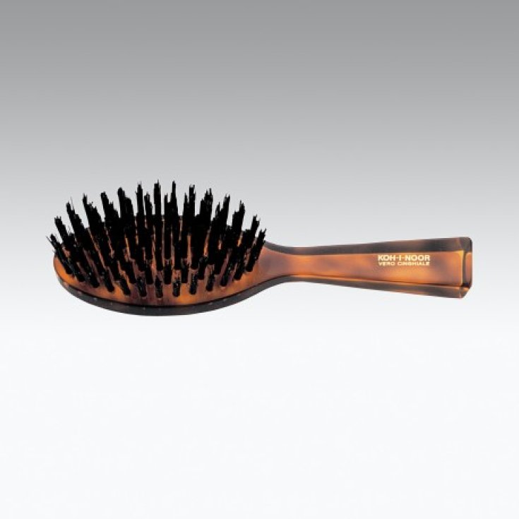 Koh-I-Noor Small Oval Brush Turtle In Black Boar Bristle COD 203
