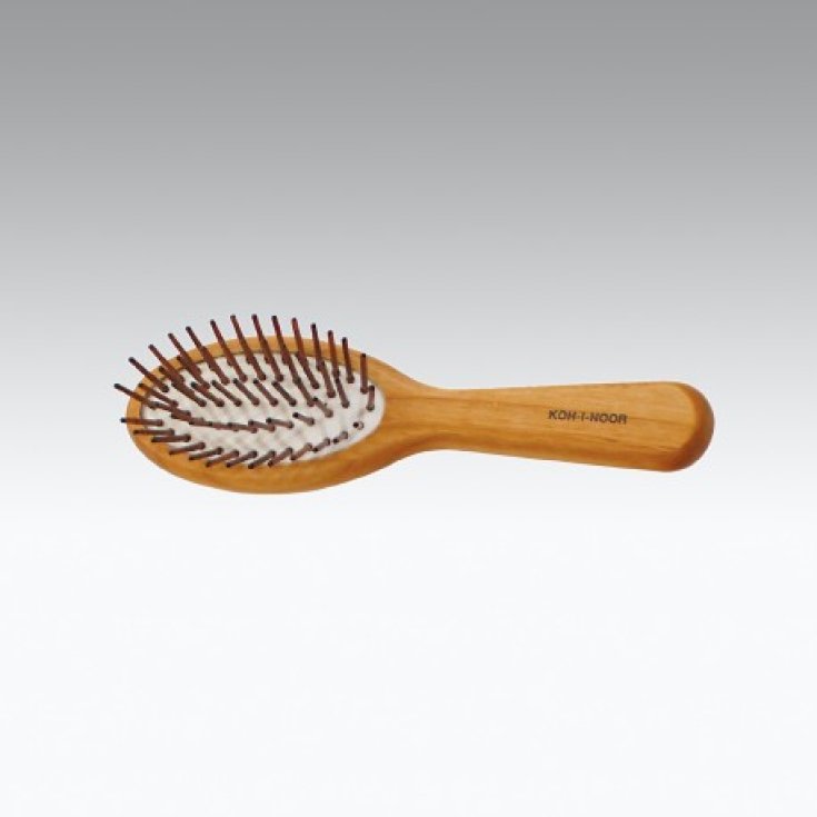 Koh-I-Noor Small Oval Pneumatic Wood Brush Hornbeam Spikes COD 681
