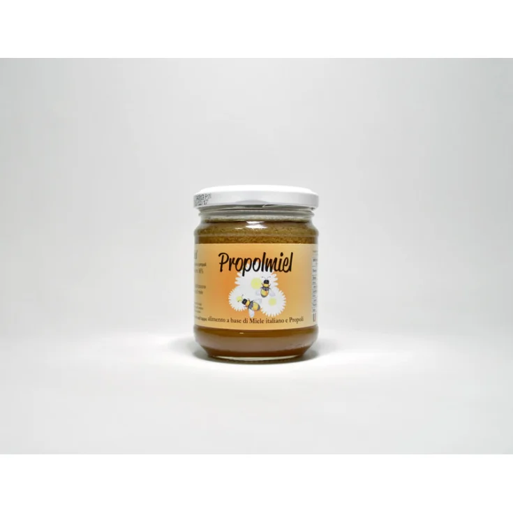 Andreini Propolmiel Food 250g