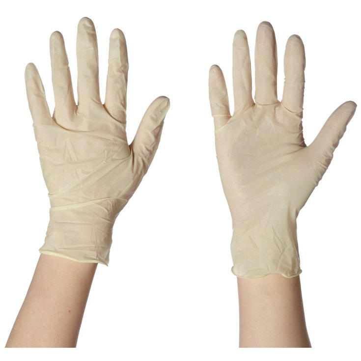 Powder Free Latex Skin Glove Size L