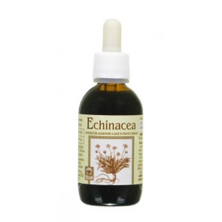 ECOL Echinacea Alcohol-Free Extract 50ml