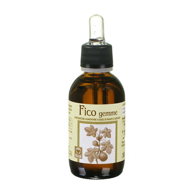 Ecol Fig Gemme Alcohol-Free Extract 50ml