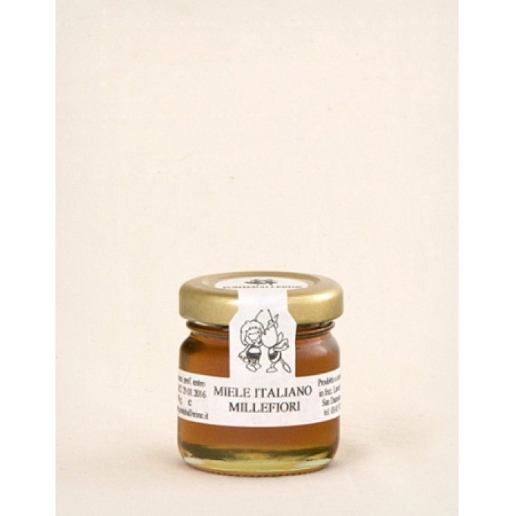 Wildflower Honey 40g