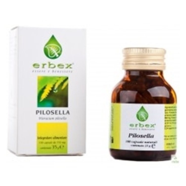 Erbex Pilosella Food Supplement 100 Capsules 350mg