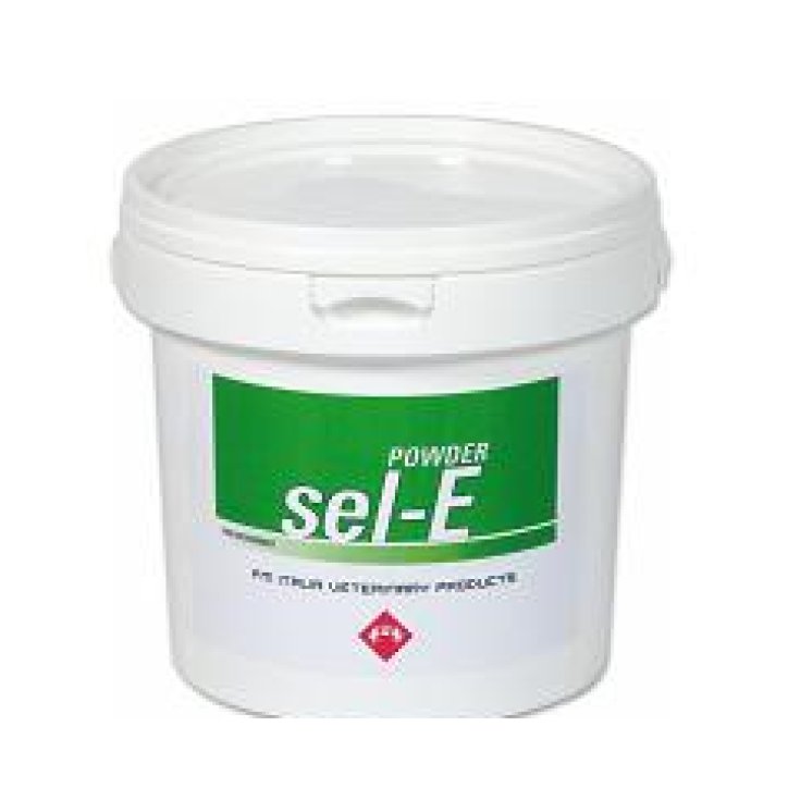 Sel E Food Supplement for Horses Powder for Oral Solution 2kg
