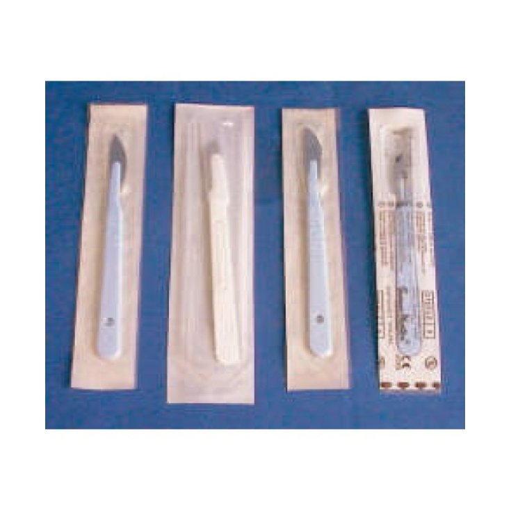 Farmasystem Disposable Scalpel N ° 22 1 Piece