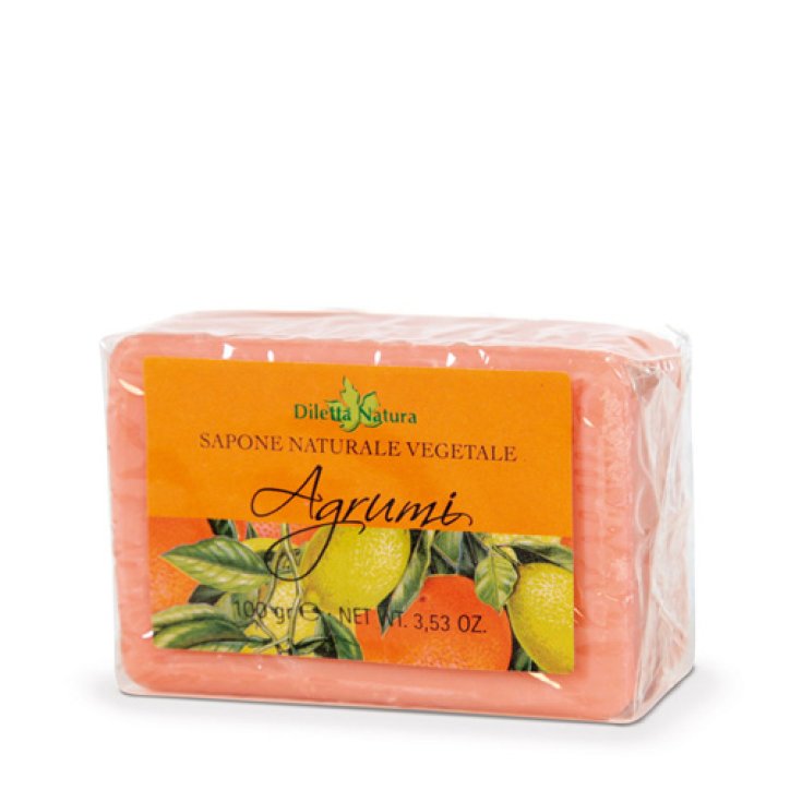 Diletta Natura Citrus Soap 100g