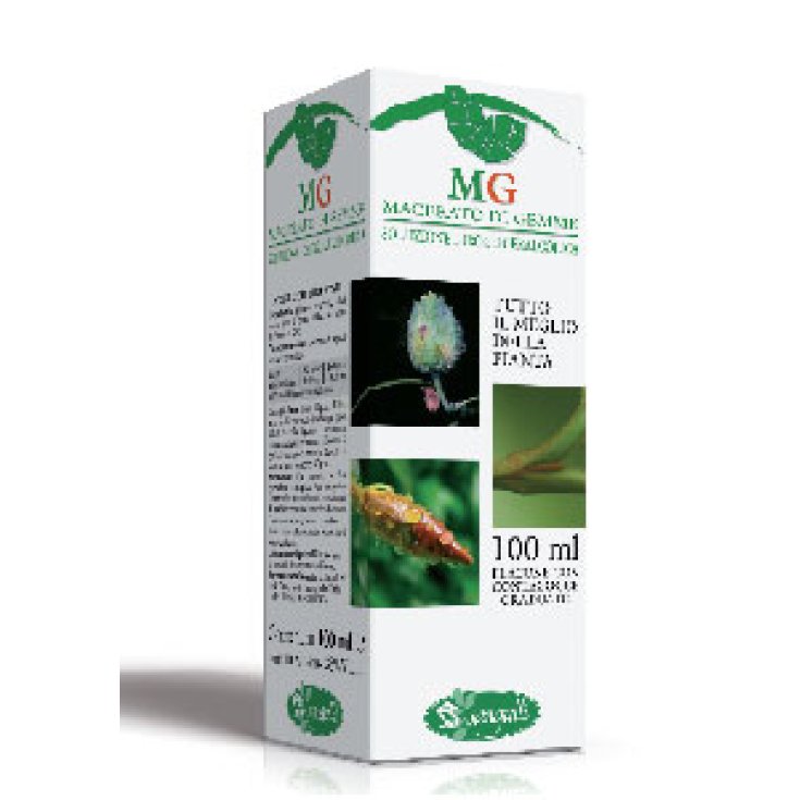 Sangalli MG Birch Food Supplement 100ml