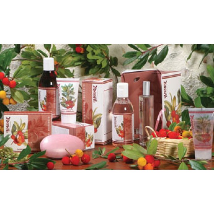 L'amande Shower Foam Elderberry And Strawberry Tree 250ml