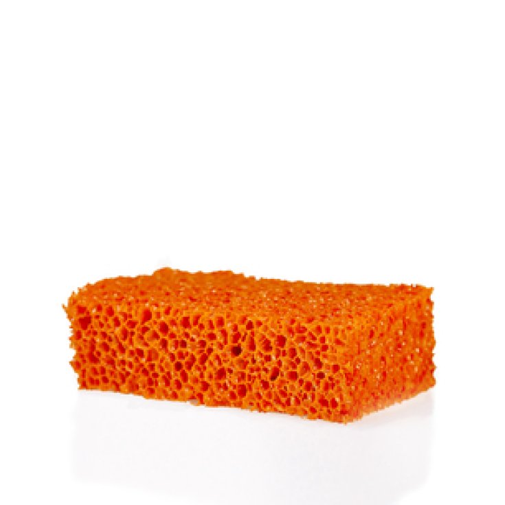Rosenfeld Orange Sponge 13 / 14cm
