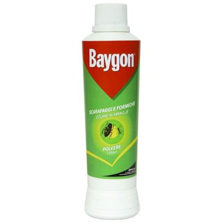 BAYGON POWDER S & F 250 GR