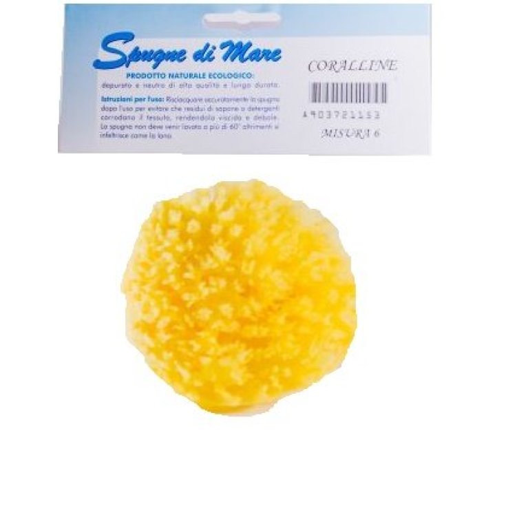 Bm Farmaceutici Natural Sea Sponge Size S 1 Piece