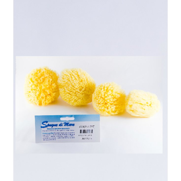 Natural Sea Sponge Size XL