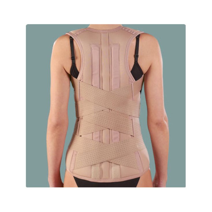 Ro + ten Lem Back-Lumbar Corset With Shoulder Straps PR1-1036 Size M