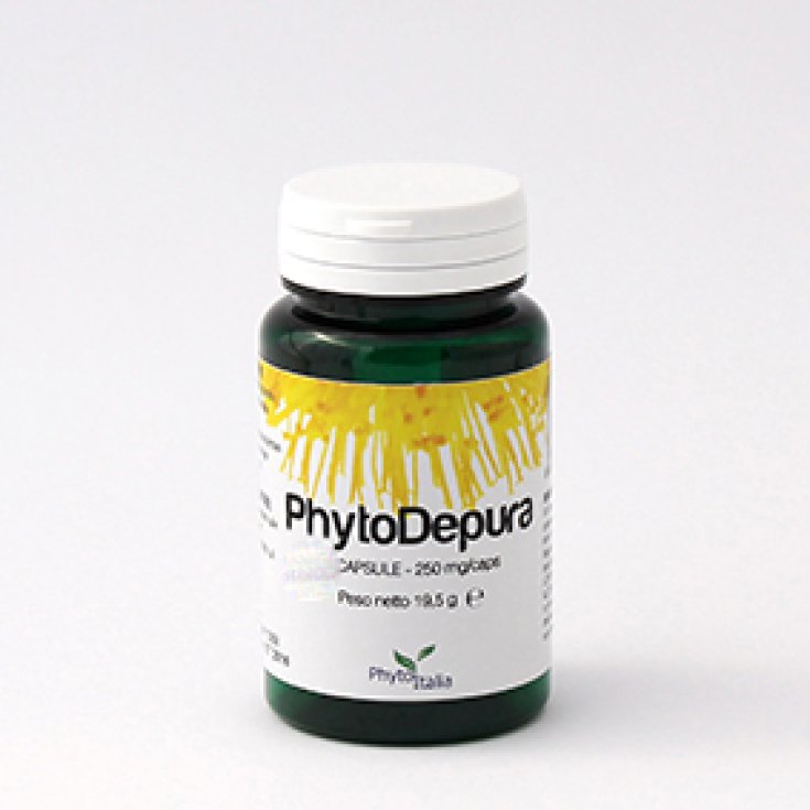 PhitoItalia Phytodepura Food Supplement 60 Capsules