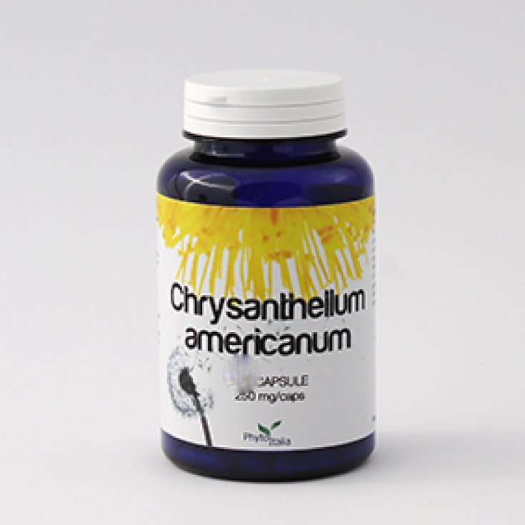 Phytoitalia Chrysantellum American Food Supplement 60 Capsules