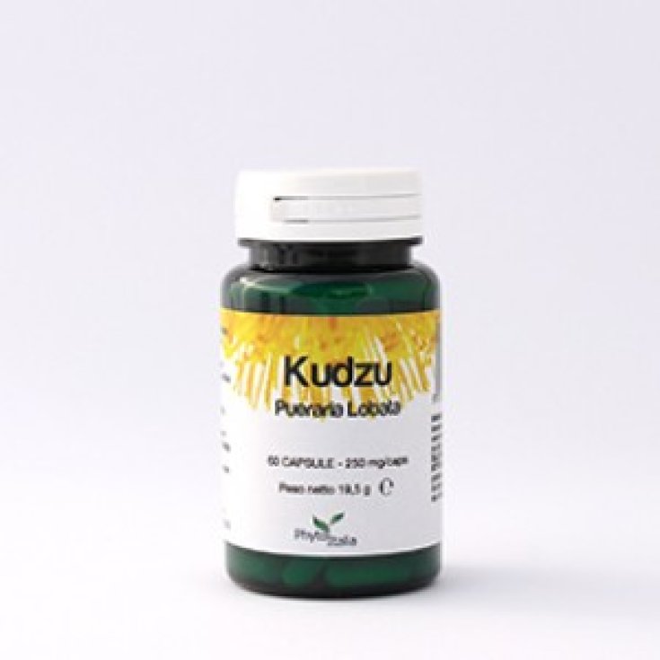 Kudzu Food Supplement 60 Capsules