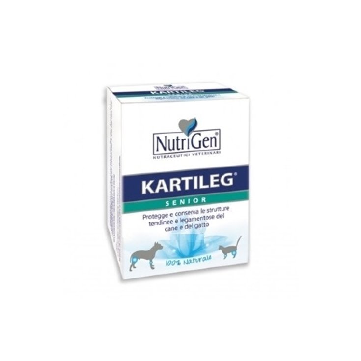 Kartileg Senior Food Supplement Dogs / Cats 60 Tablets